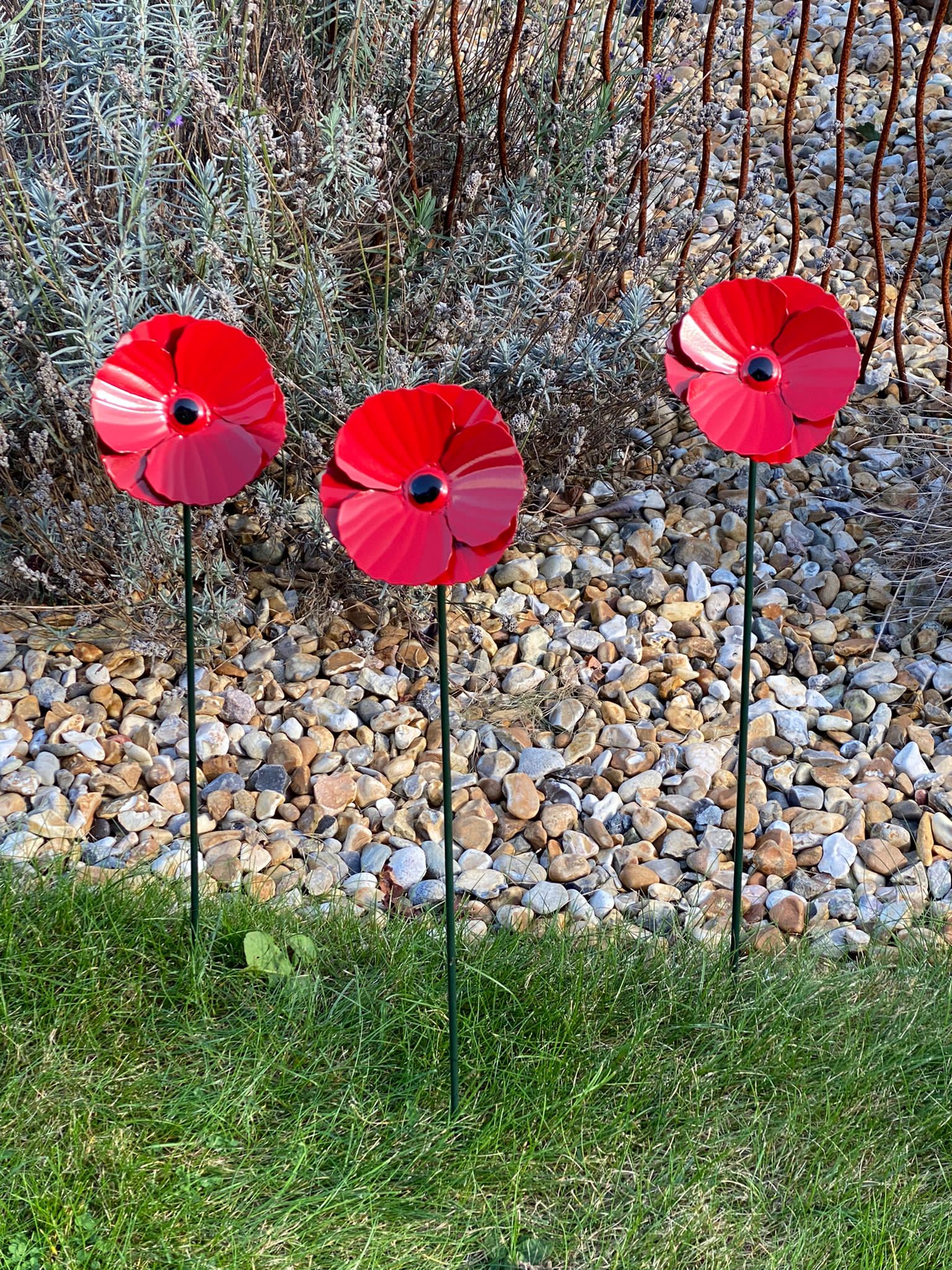Mohn-Gartenpfähle - Packung mit 3