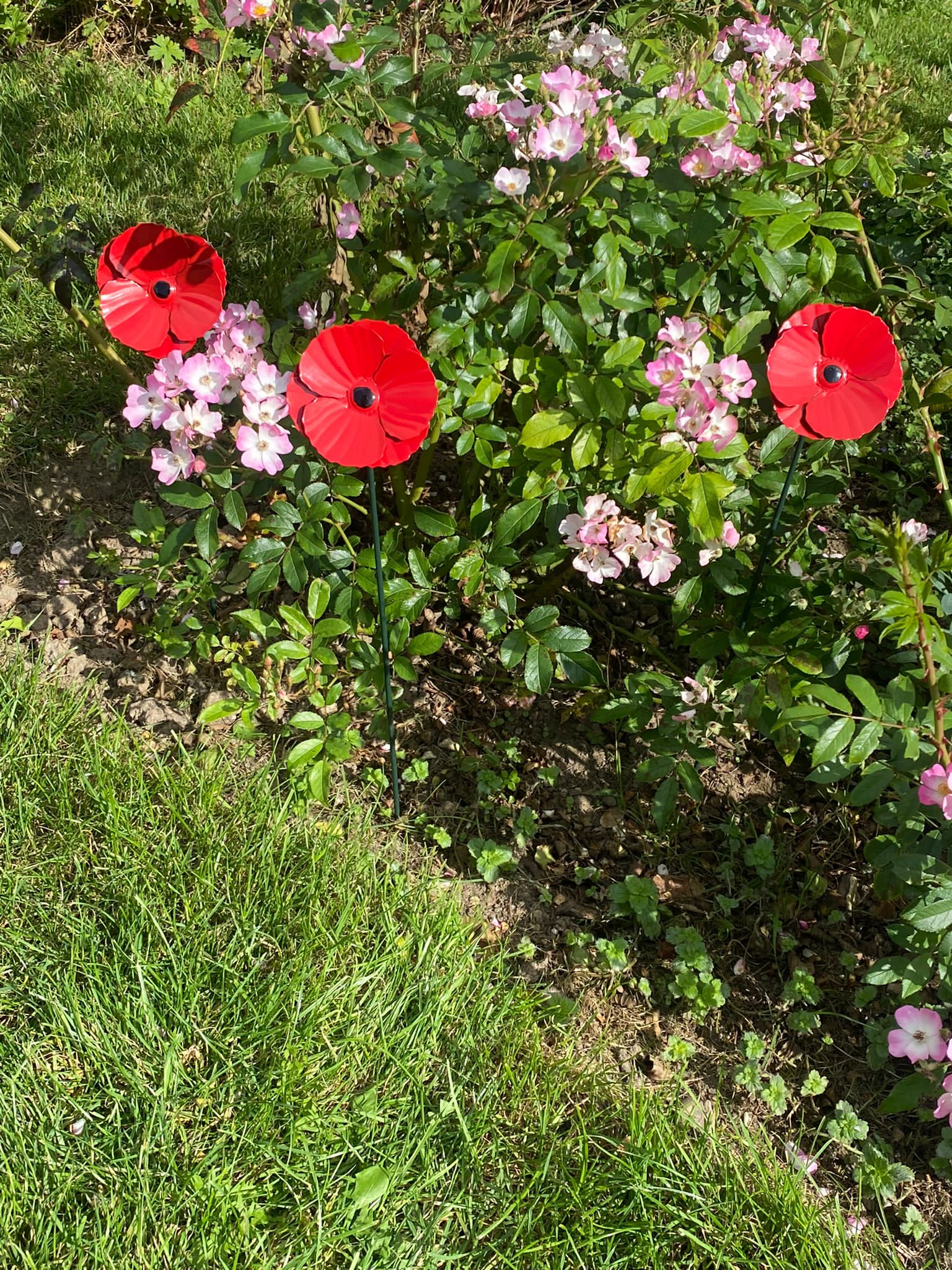 Mohn-Gartenpfähle - Packung mit 3