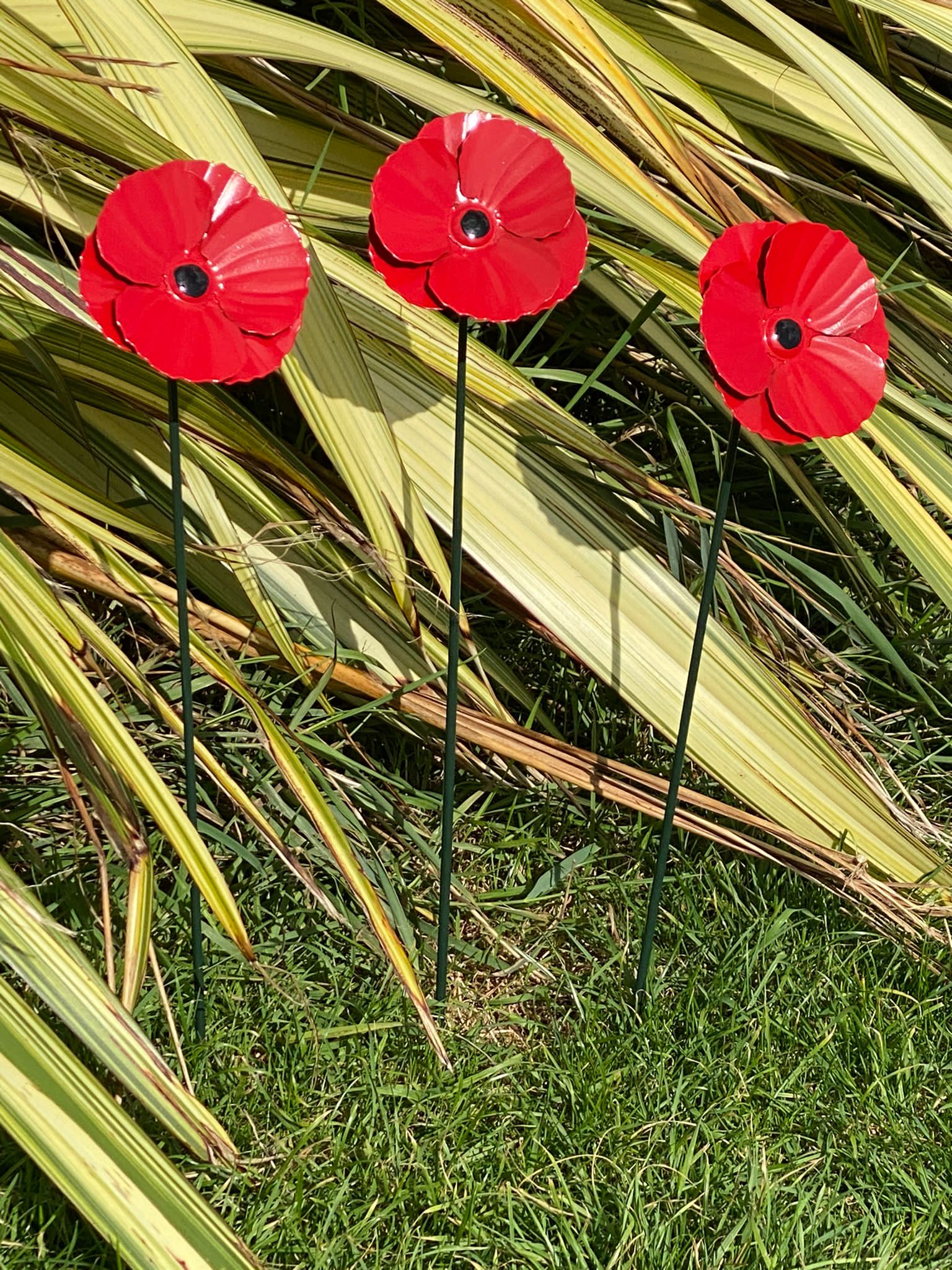 Mohn-Gartenpfähle - Packung mit 3