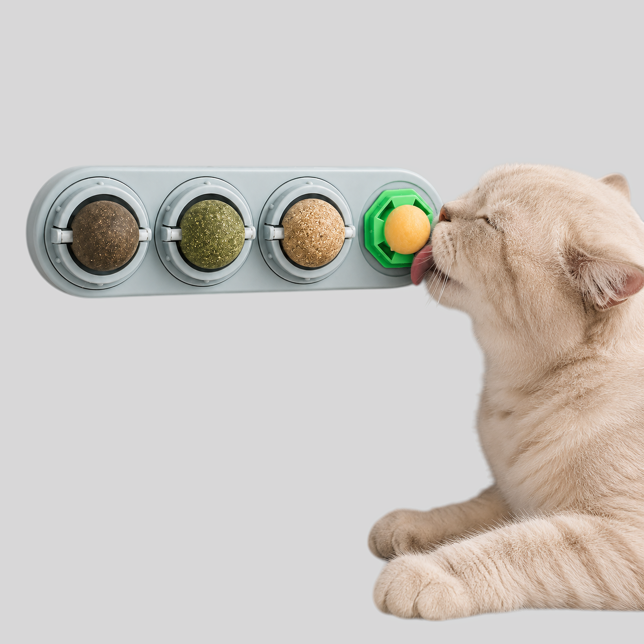 Katzenspielzeug interaktiv - Drehbare Bälle mit Katzenminze