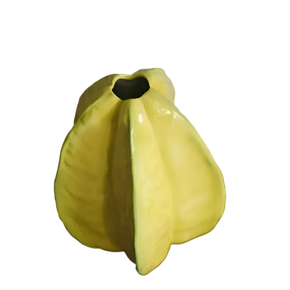 Nerithia - Handgefertigte Keramische Blumenvase im eleganten Sterrfrucht-Design