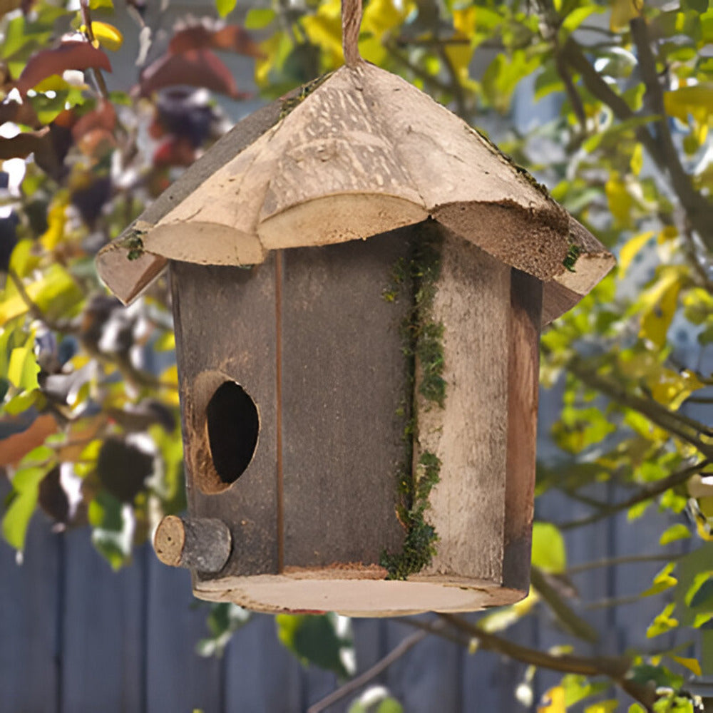 Domus - Charmantes Rustikales Holz-Vogelhaus mit Kolibri-Design