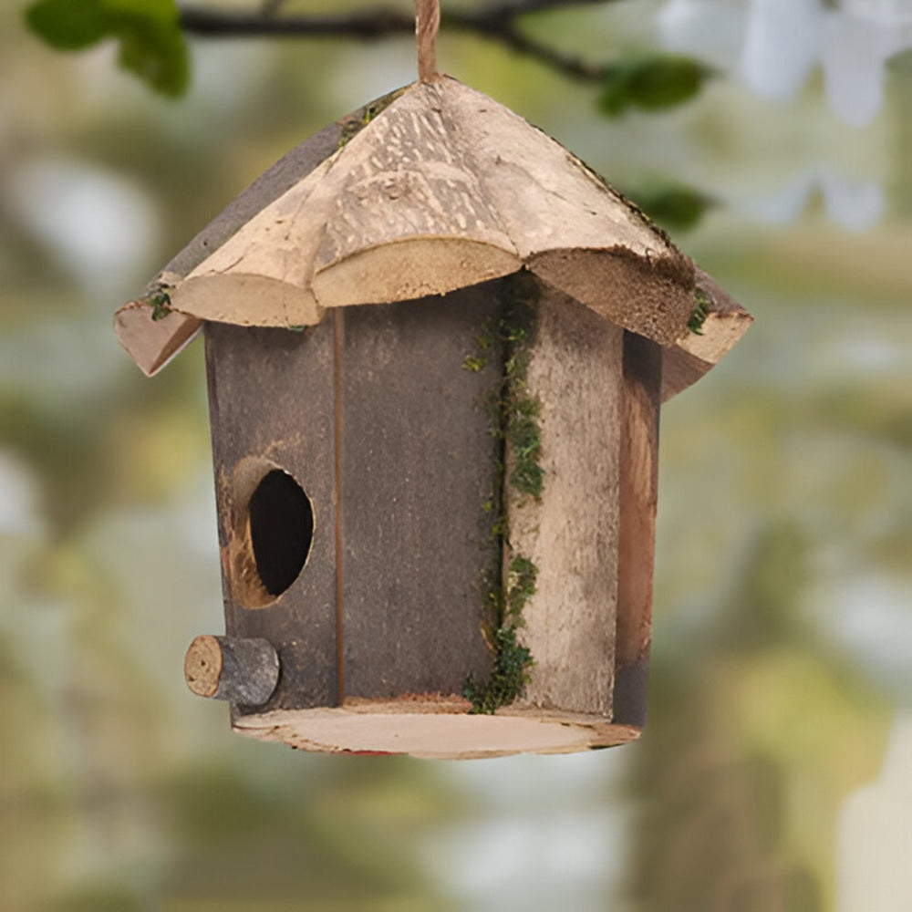 Domus - Charmantes Rustikales Holz-Vogelhaus mit Kolibri-Design
