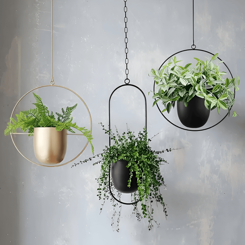 Caelessa – Schlanke und moderne hängende Pflanztopf für ein minimalistisches Interieur