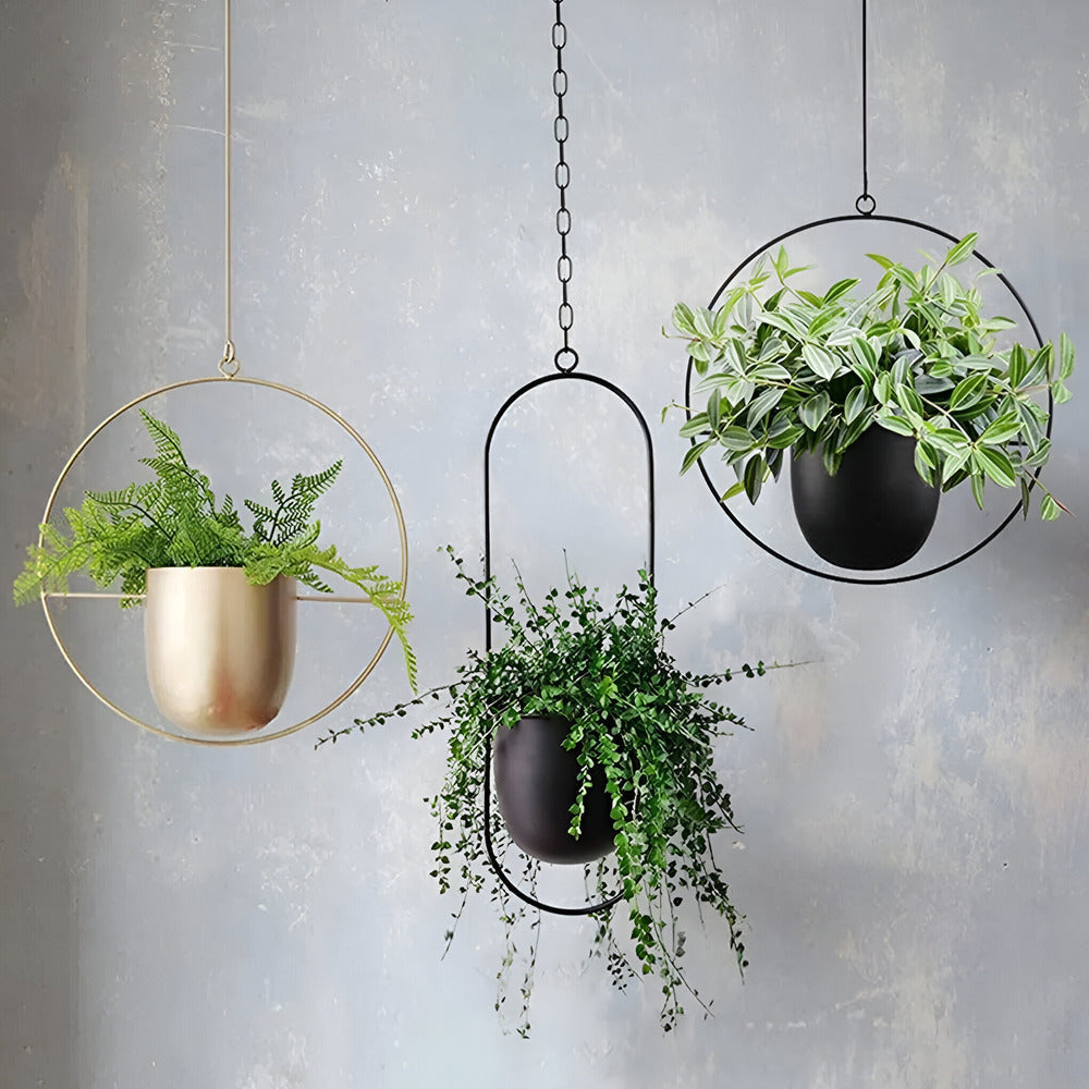 Caelessa – Schlanke und moderne hängende Pflanztopf für ein minimalistisches Interieur