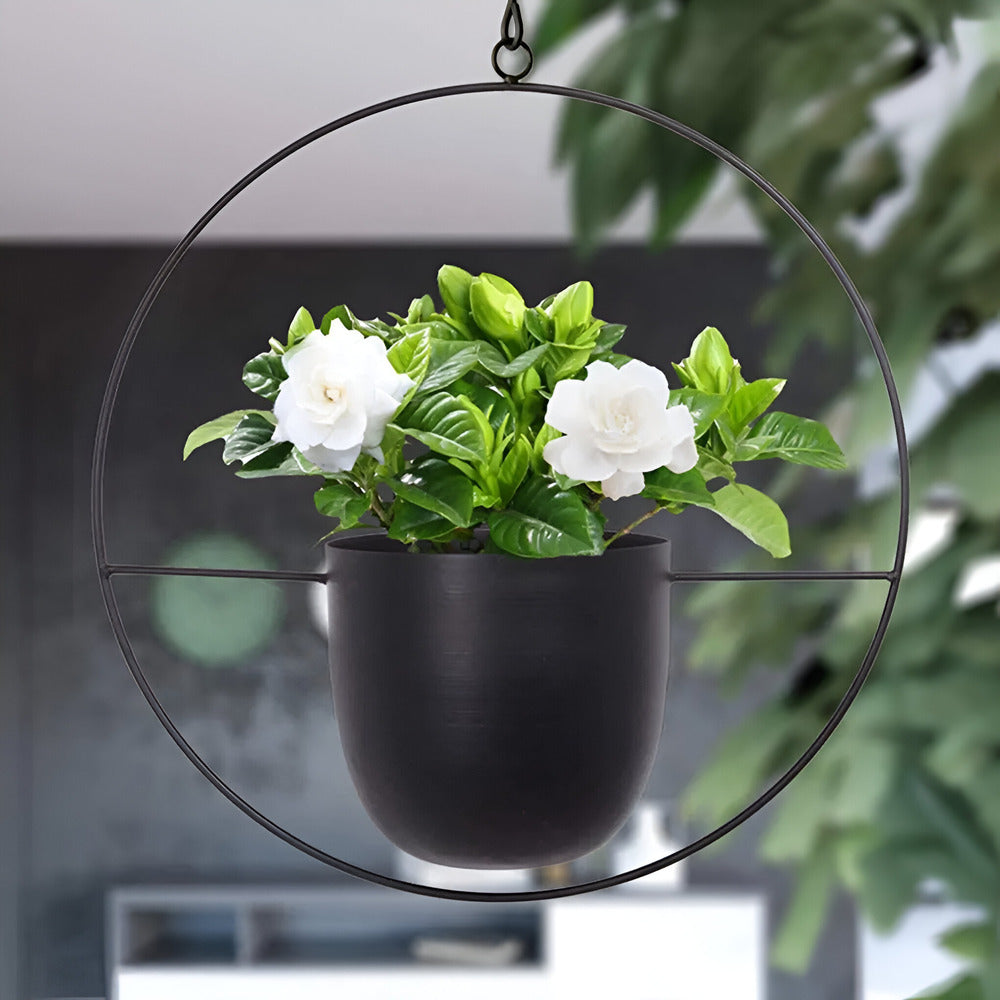 Caelessa – Schlanke und moderne hängende Pflanztopf für ein minimalistisches Interieur