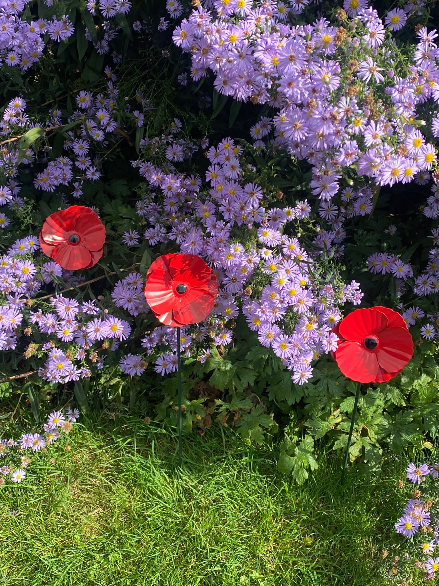 Mohn-Gartenpfähle - Packung mit 3