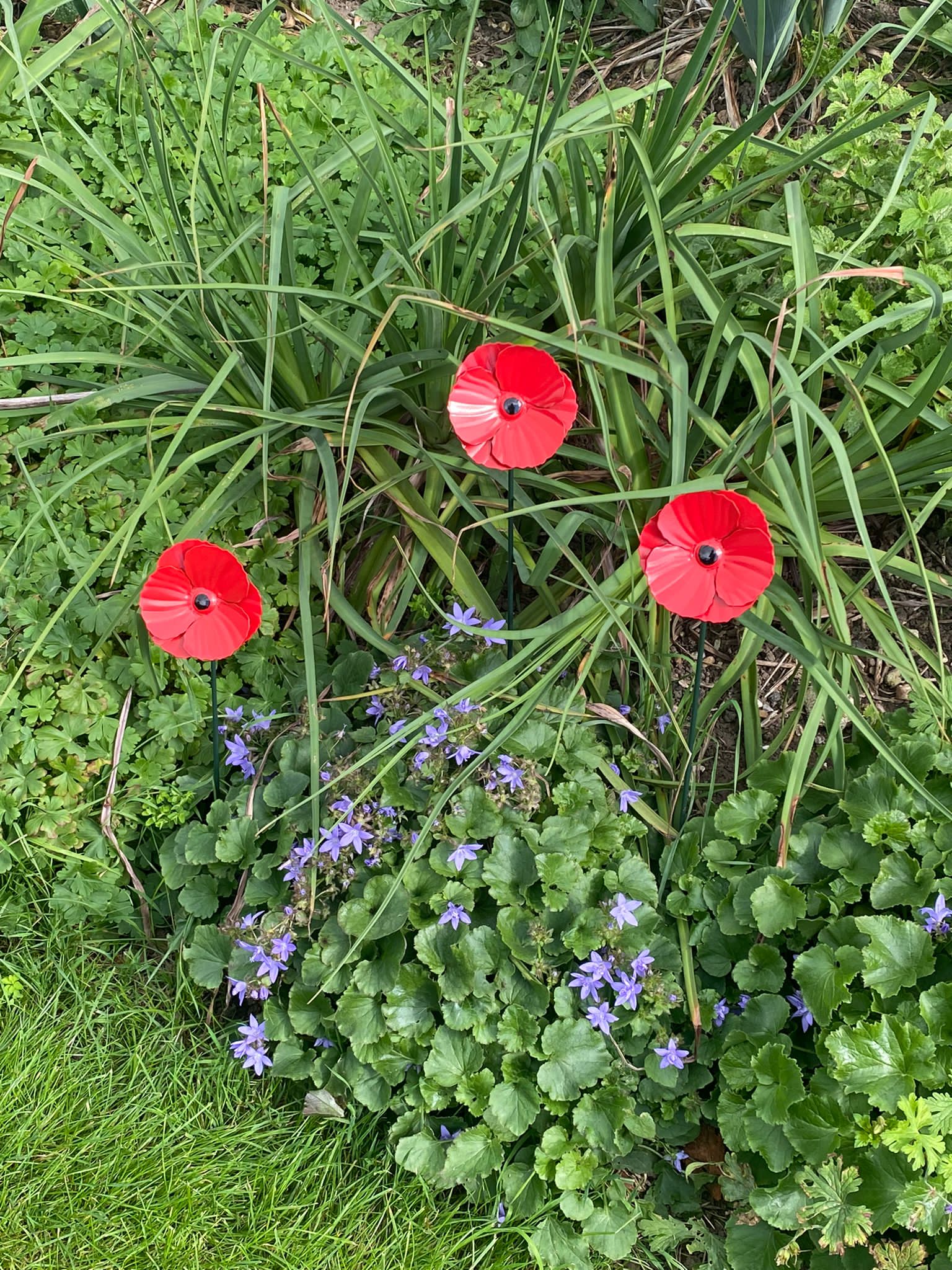 Mohn-Gartenpfähle - Packung mit 3