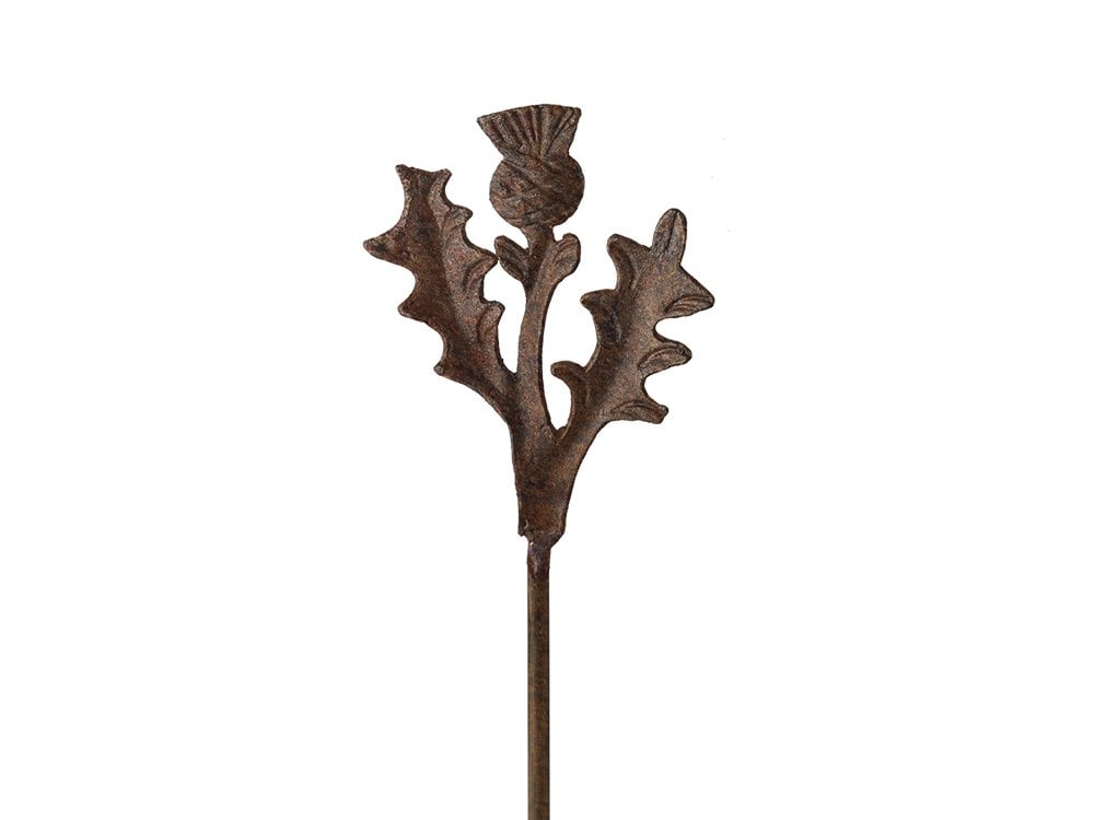 Distel - Rostfarbenes Metall-Blumenstecklinge für den Garten, speziell für Rost designed