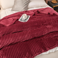 Coperta accogliente - plaid caldo perfetto per la tua camera da letto