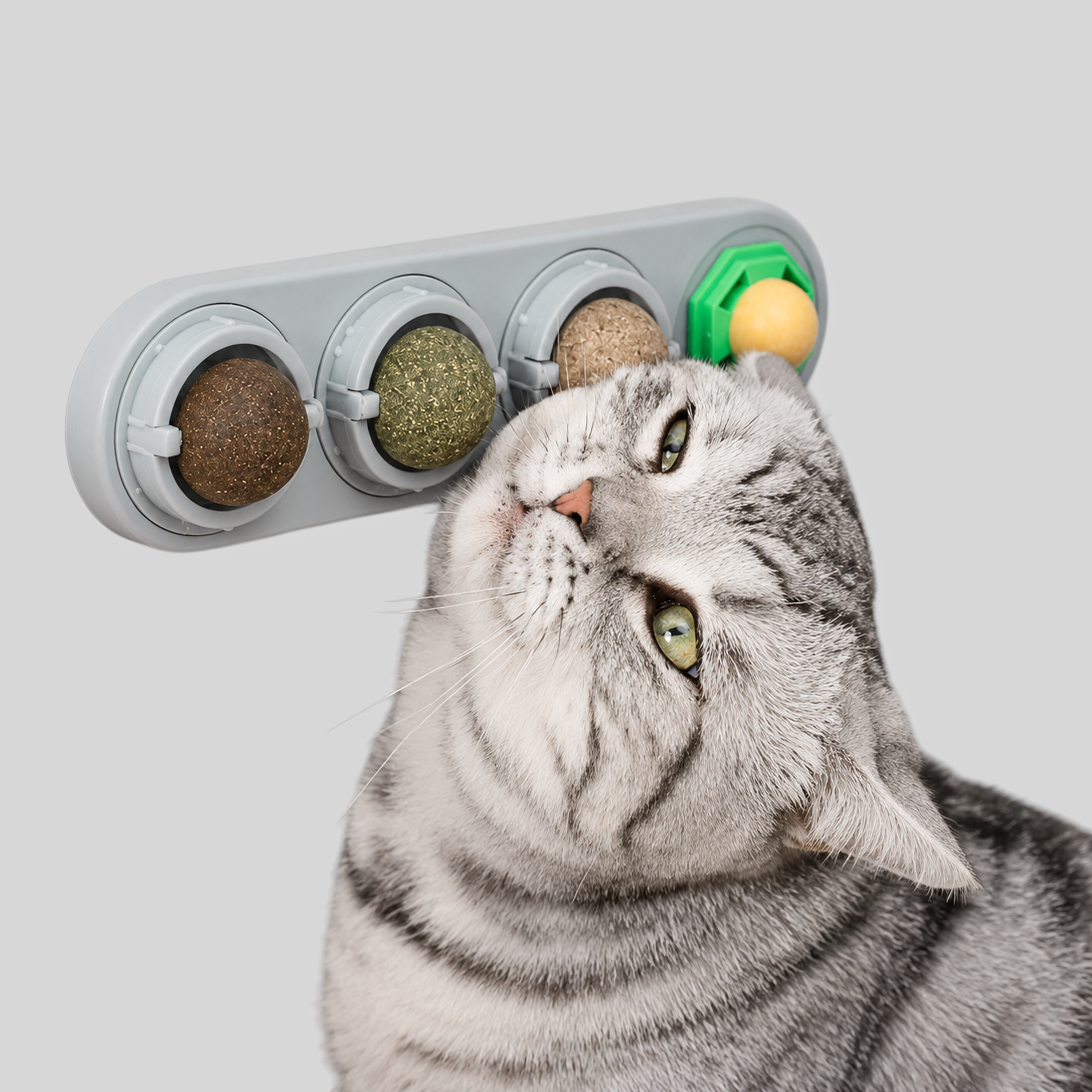 Katzenspielzeug interaktiv - Drehbare Bälle mit Katzenminze