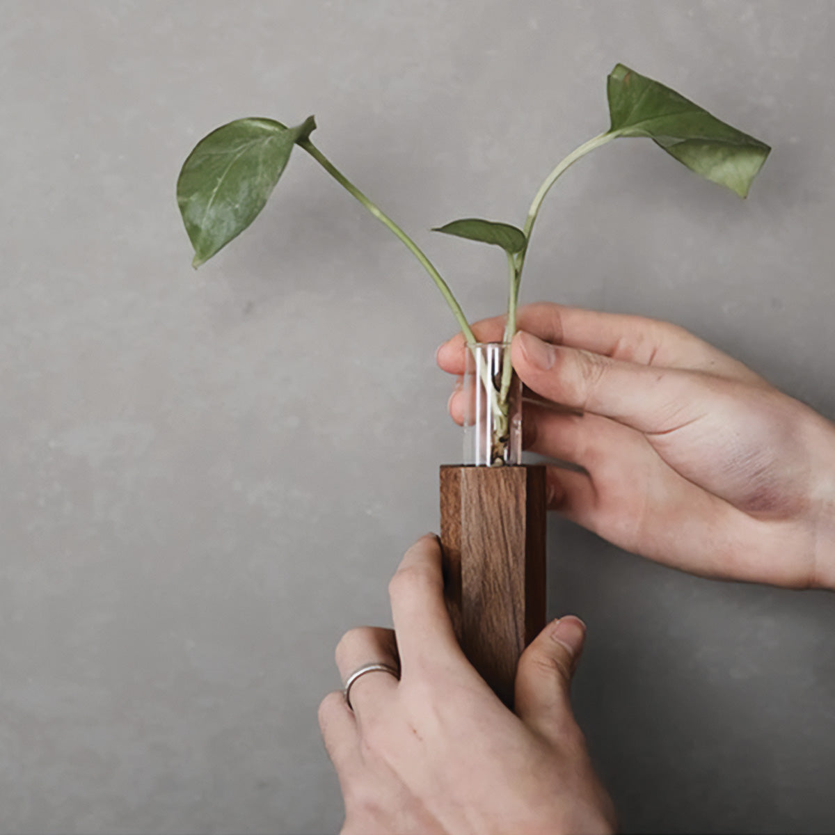 Wandvasen in Blumenflötenform für elegante und anspruchsvolle Blumendekoration