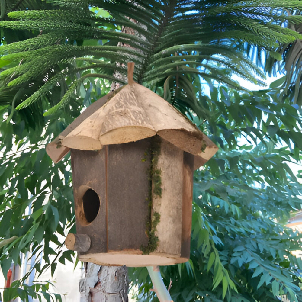 Domus - Charmantes Rustikales Holz-Vogelhaus mit Kolibri-Design