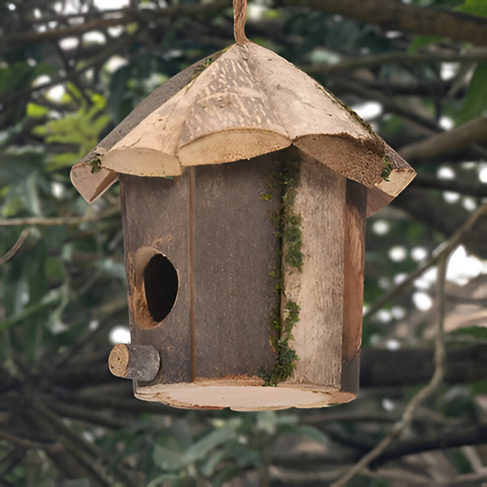 Domus - Charmantes Rustikales Holz-Vogelhaus mit Kolibri-Design