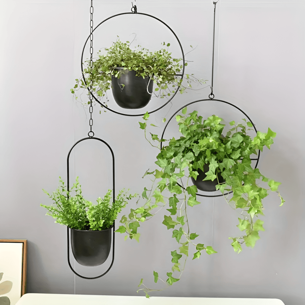 Caelessa – Schlanke und moderne hängende Pflanztopf für ein minimalistisches Interieur