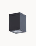 Lampada da soffitto LED moderna per interno ed esterno