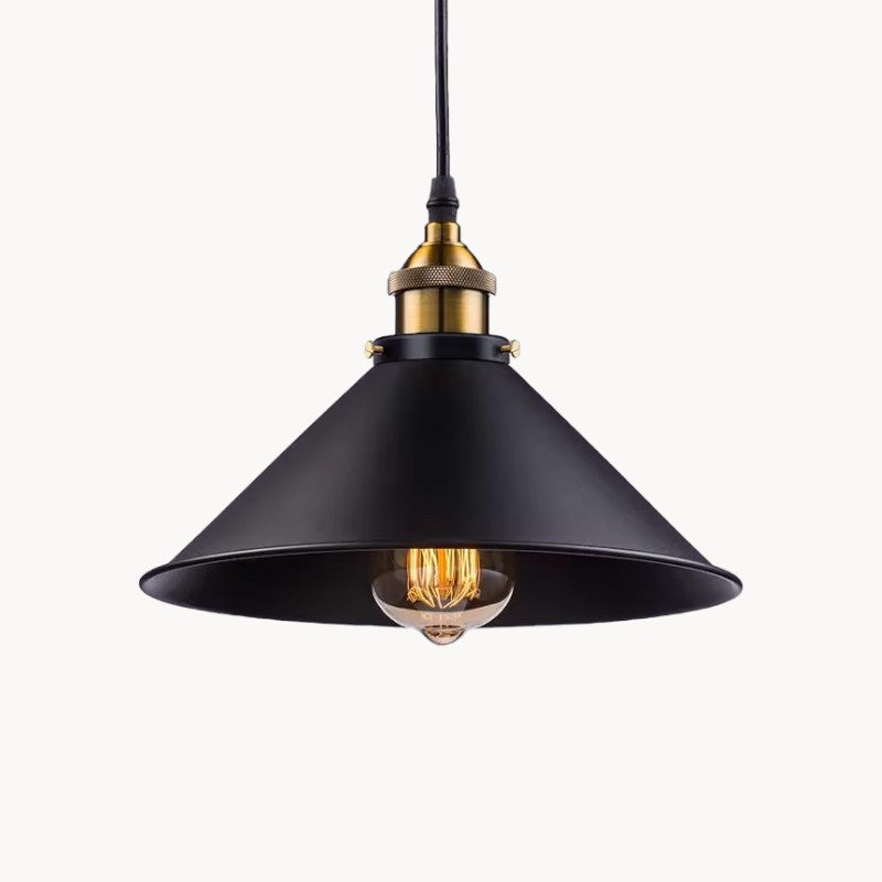Moderne Pendelleuchte mit Schwarz-Gold Finish 1