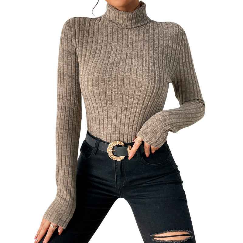 Stilvoller Damen-Rollkragenpullover für einen eleganten Look