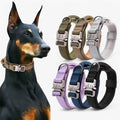 Hundehalsband-Set taktisch für Training - Robust, verstellbar