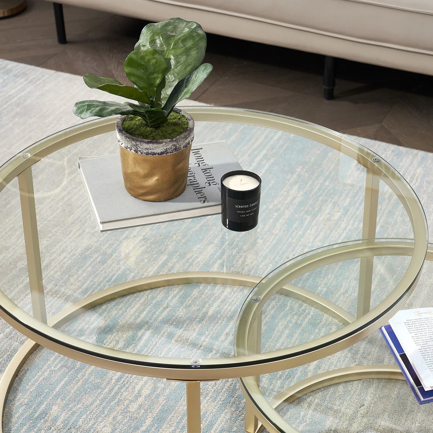 Caelanis - Stilvolle 2-in-1 Runde Couchtisch mit robustem Eisenrahmen und Glasplatte