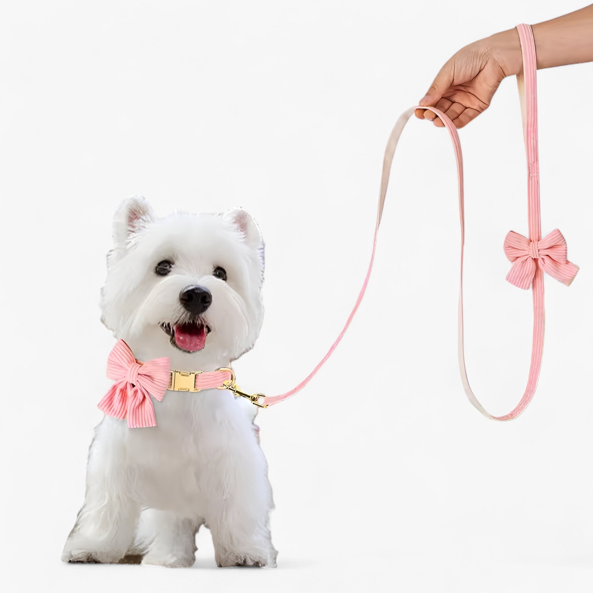 Sød Rosa Halsbånd und Snor Set für Små und Mellemstore Hunde