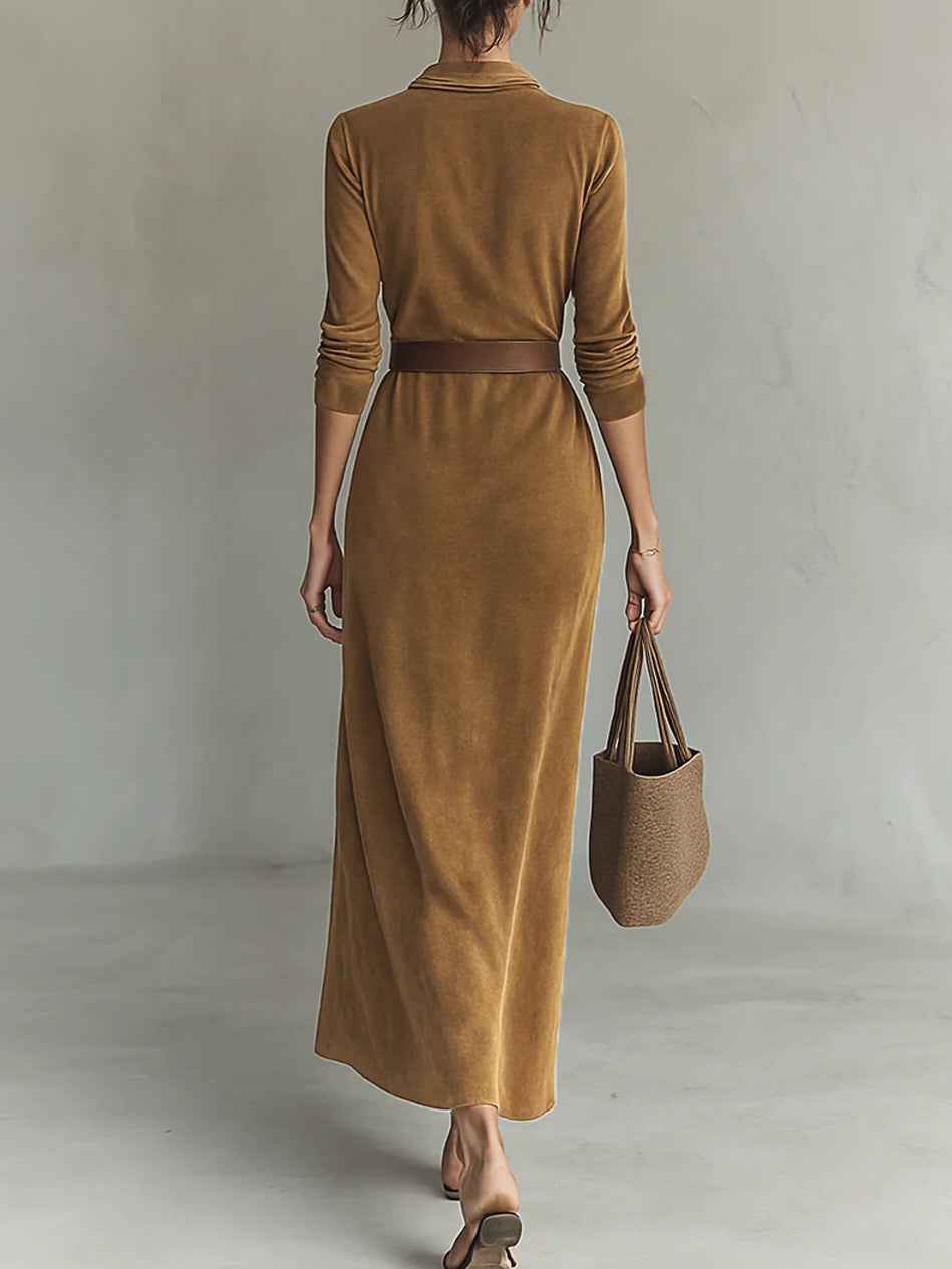 Lange Wildlederrobe mit Stehkragen und einreihiger Knopfleiste für einen eleganten und anspruchsvollen Look