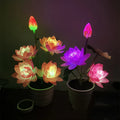 Lampada decorativa a forma di fiore di loto per una luce elegante ed ecologica
