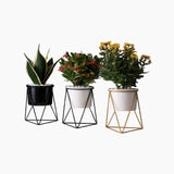 Elegante vaso in ceramica con supporto in ferro - Fioriera moderna ideale per piante sospese e succulente